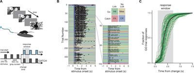 Characterization of Learning, Motivation, and Visual Perception in Five Transgenic Mouse Lines Expressing GCaMP in Distinct Cell Populations